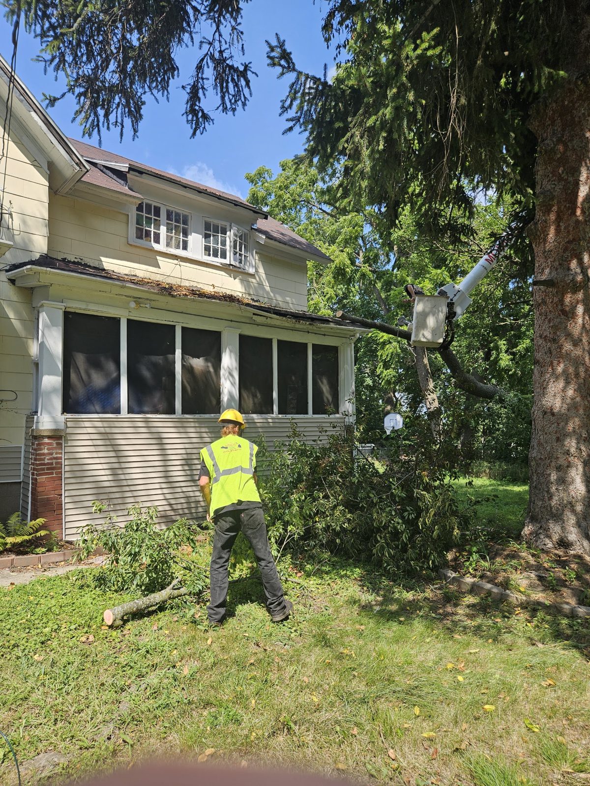 A Morning Wood crewman in a hard hat and hi-vis vest clearing cut limbs beside a house