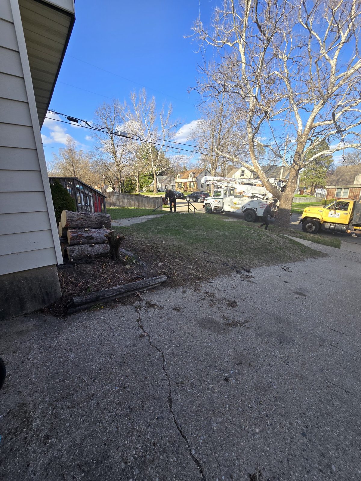 Morning Wood trucks and cut logs on a residential street during a tree removal